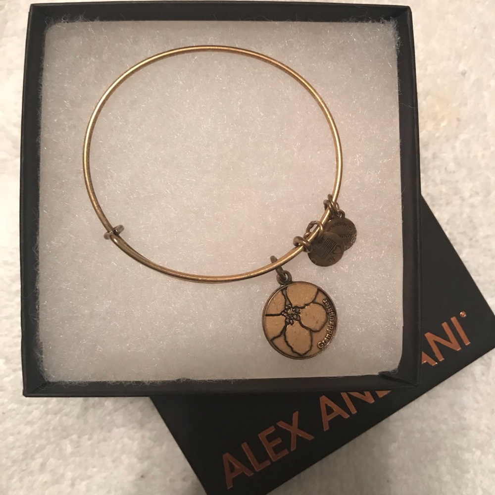 Alex and Ani Bangle